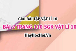 Giải bài 2 trang 110 SGK Vật lí 10: Các dạng cân bằng, cân bằng bền, cân bằng không bền, cân bằng phiếm định
